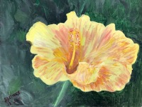 Hibiscus 26,5x35