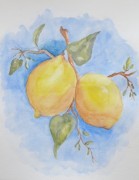 Gilles MATHE Fruits de Menton - Aquarelle-24X30