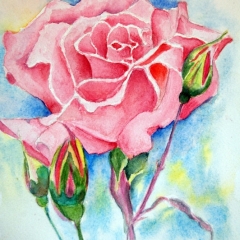 Cœur de rose 21-29 cm