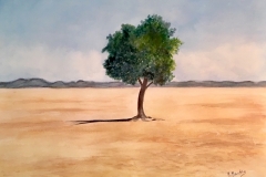 Arbre solitaire du desert-31X41