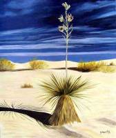 Yucca du desert 54X65