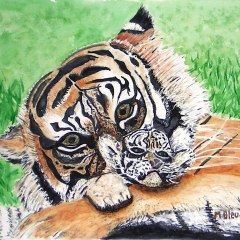 Tigres maman et bébé
