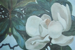 Magnolia 40x50