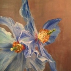 Fleurs-bleues-40x50