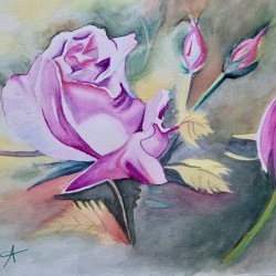 image0