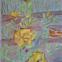 image16