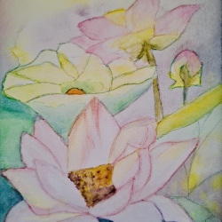 image18