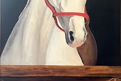 Le cheval blanc 55X34cm