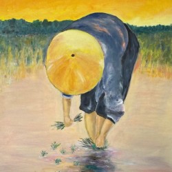 Plantation du riz (huile 40x50)
