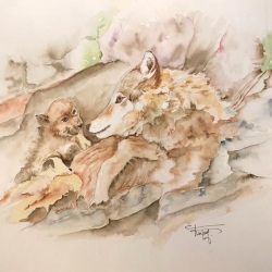 La Louve Aquarelle 30X40-cm