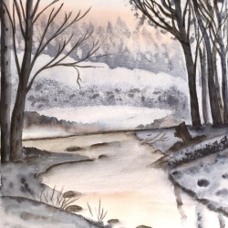 image6