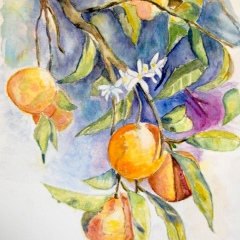 A l'ombre de l'oranger 21-29.7cm