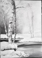 Bouleau en hiver 70x50