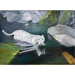 Tigre-blanc-huile-toile-50x70-cm
