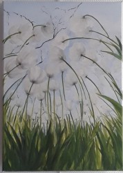 Tulipes -70X50