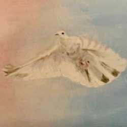 Colombe 27x46