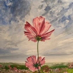 Fleurs rouges 40x50