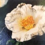 Agnès Isoard Illari